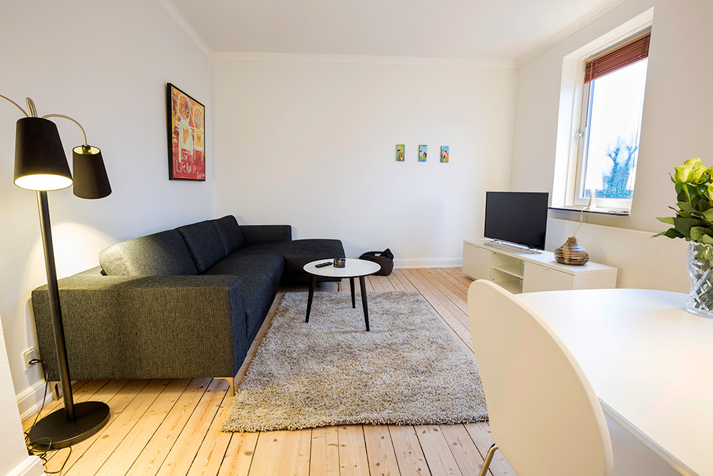 Simple Aalborg Furnished Apartments 