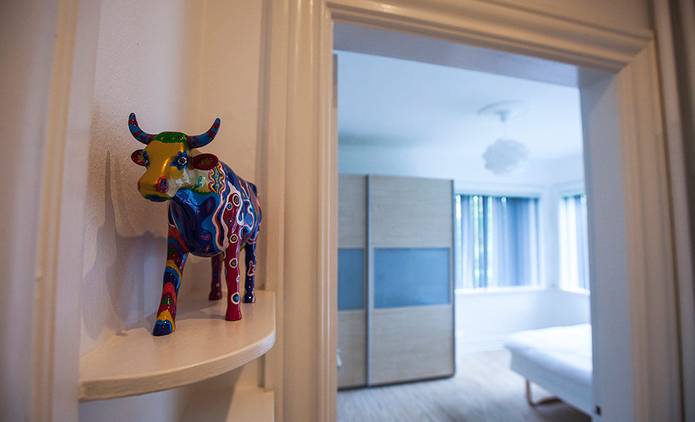 Duebrodrevej_sove-1000x607